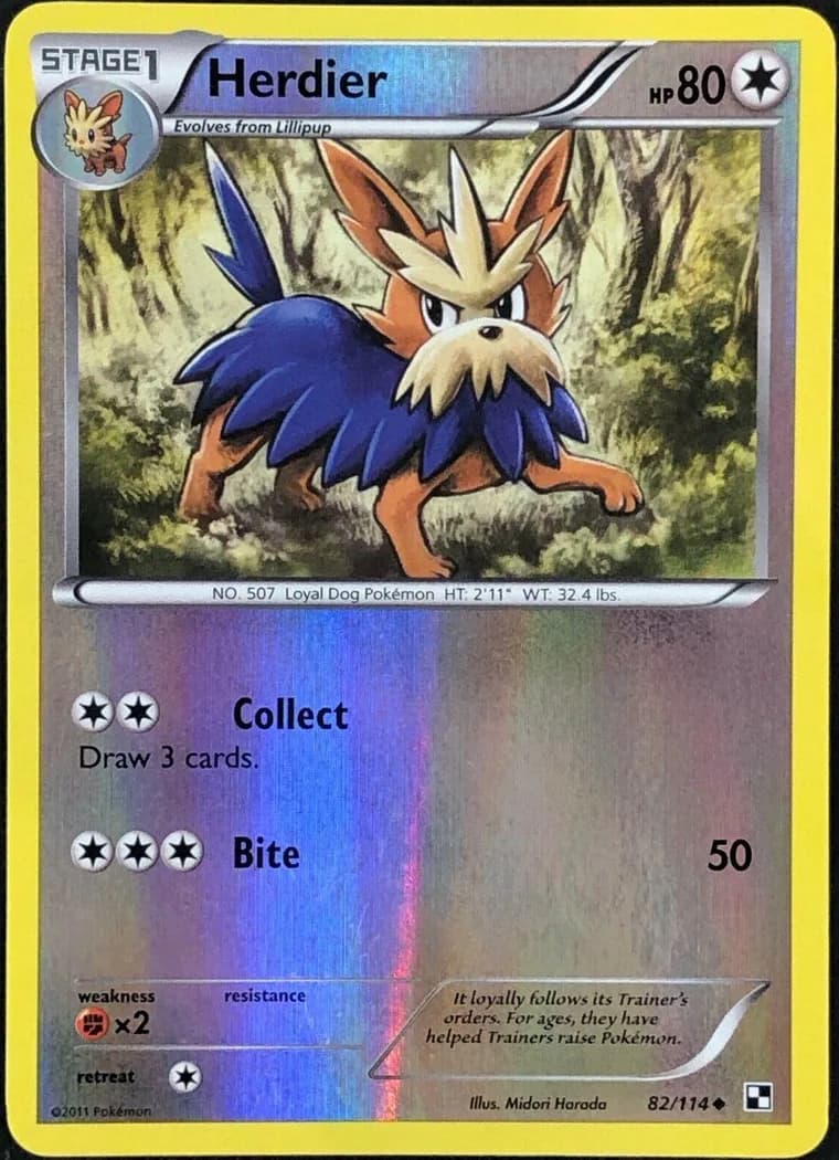 Herdier reverse holo card front, Black & White 82/114