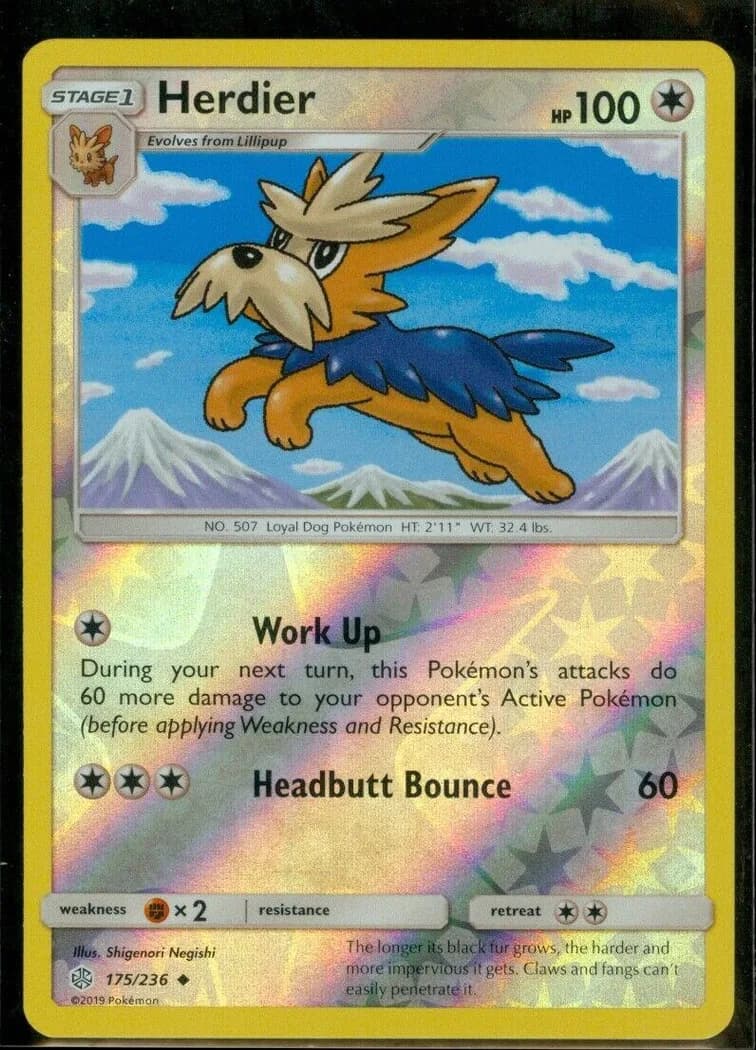 Herdier reverse holo card front, Cosmic Eclipse 175/236