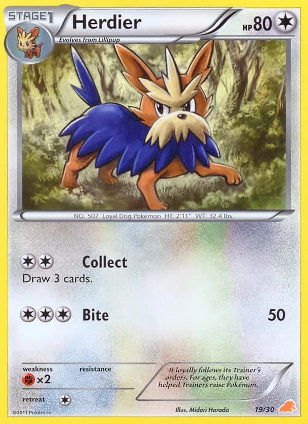 Herdier, BW trainer Kit (Excadrill) 19/30, English card reference; edition and finish may differ