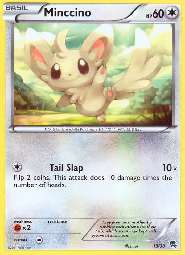 Minccino, BW trainer Kit (Zoroark) 19/30, English card reference; edition and finish may differ