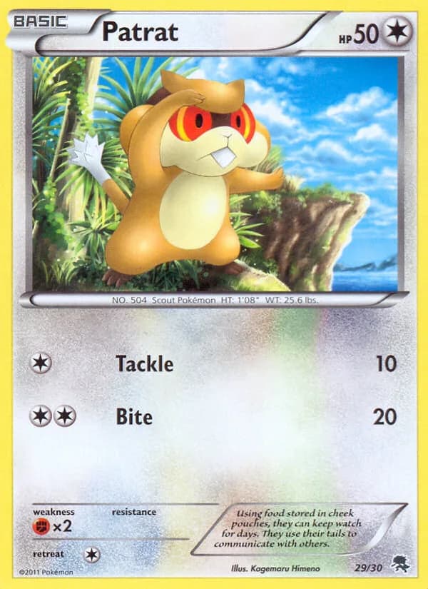 Patrat, BW trainer Kit (Zoroark) 29/30, English card reference; edition and finish may differ