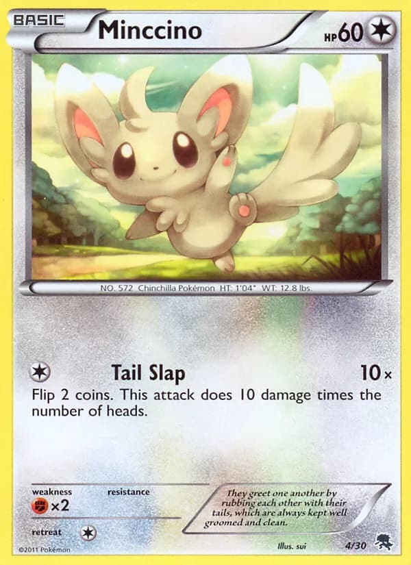 Minccino, BW trainer Kit (Zoroark) 4/30, English card reference; edition and finish may differ
