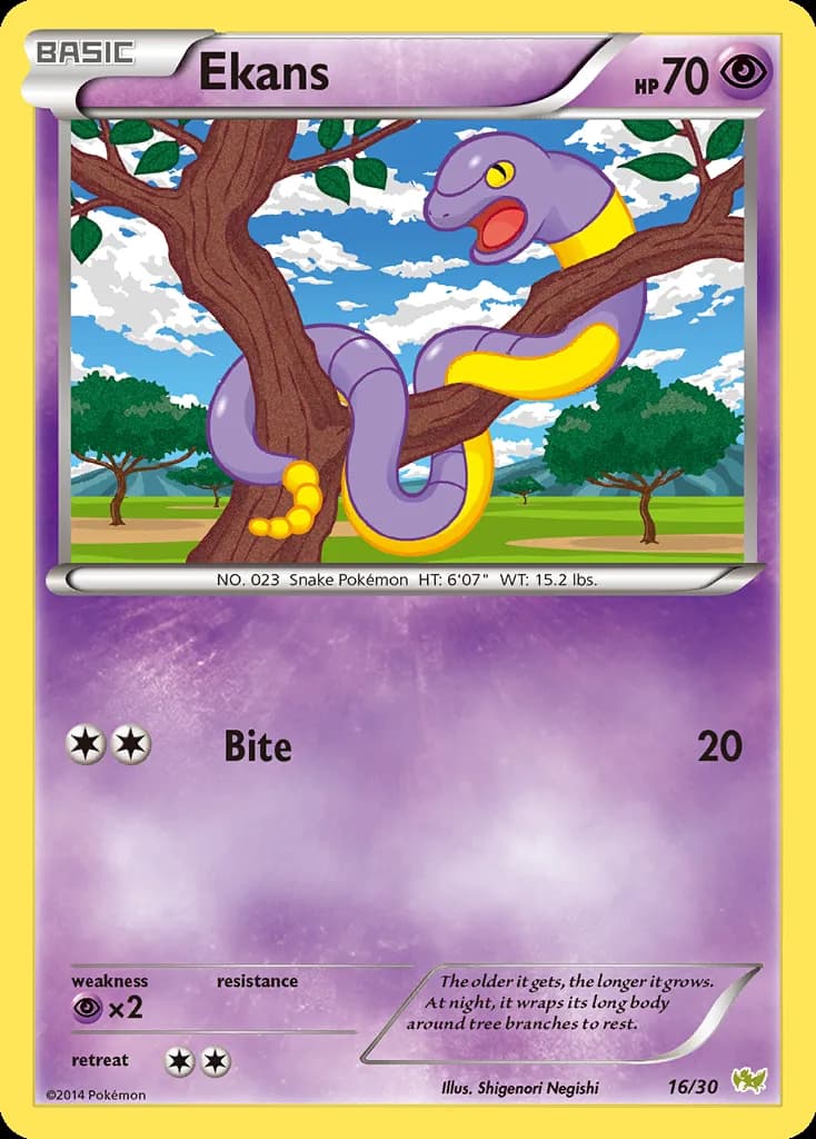 Ekans, XY trainer Kit (Noivern) 16/30, English card reference; edition and finish may differ