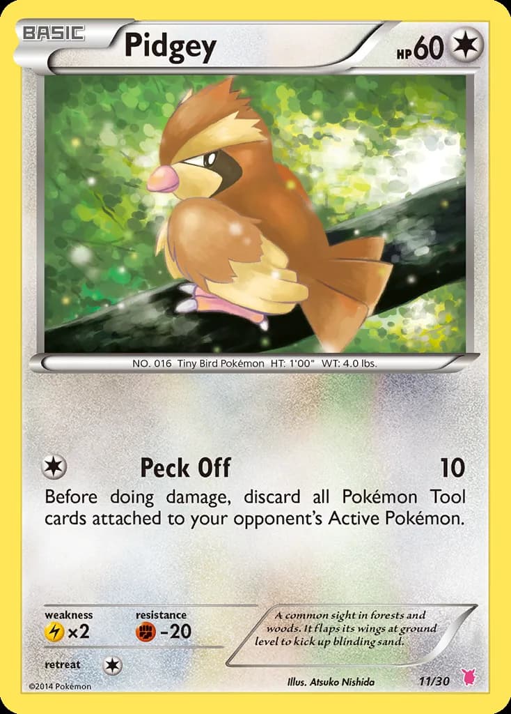 Pidgey, XY trainer Kit (Wigglytuff) 11/30, English card reference; edition and finish may differ