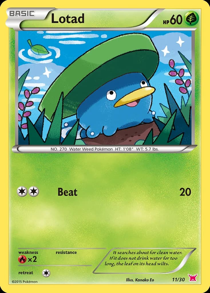Lotad, XY trainer Kit (Latias) 11/30, English card reference; edition and finish may differ