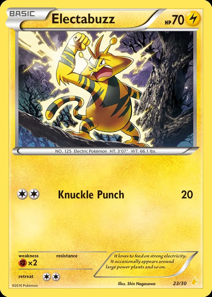 Electabuzz, XY trainer Kit (Pikachu Libre) 23/30, English card reference; edition and finish may differ