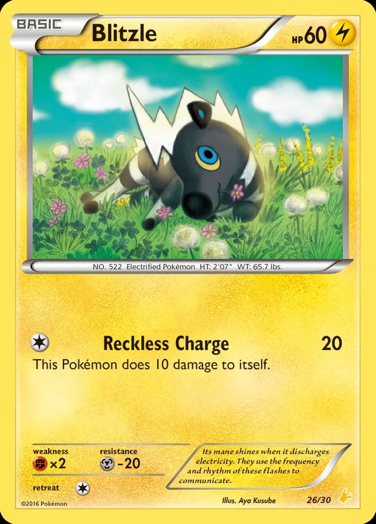 Blitzle, XY trainer Kit (Pikachu Libre) 26/30, English card reference; edition and finish may differ