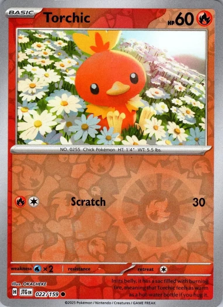 Torchic reverse holo card front, Journey Together 22/159