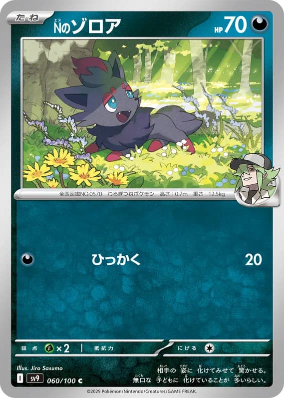 Battle Partners 60 card front (N's Zorua)