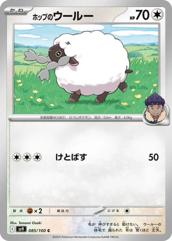Battle Partners 85 card front (Hop's Wooloo)