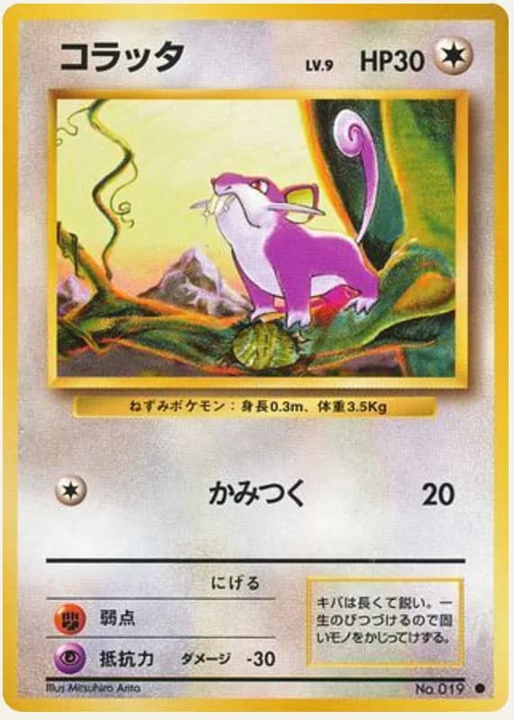 コラッタ, Expansion Pack; Japanese card reference; edition and finish may differ