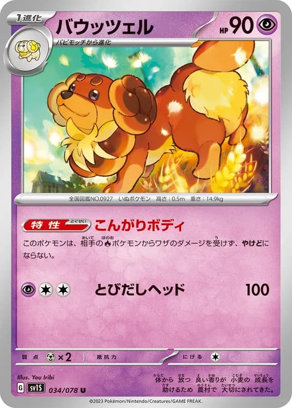 Scarlet ex 34 card front (Dachsbun)
