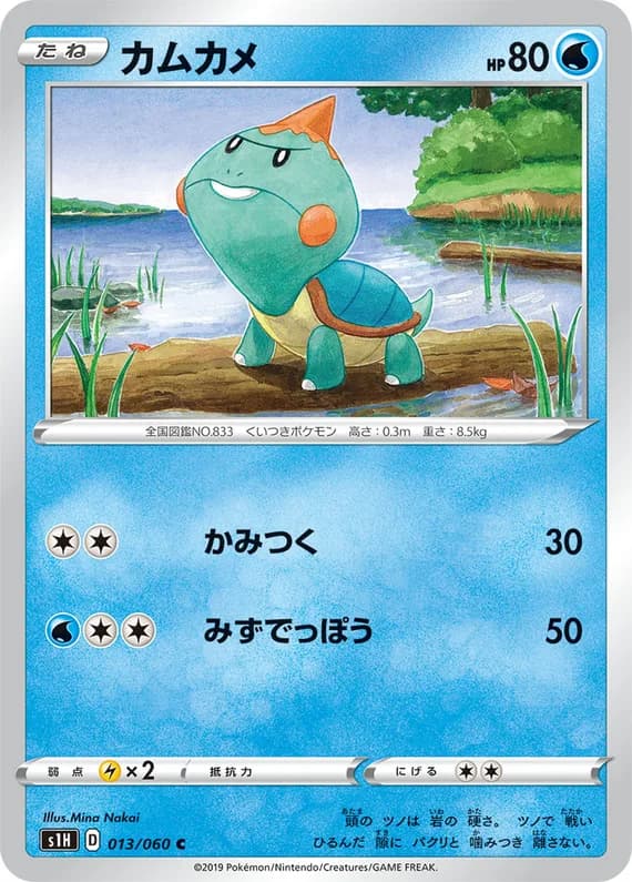 Shield 13 card front (Chewtle)