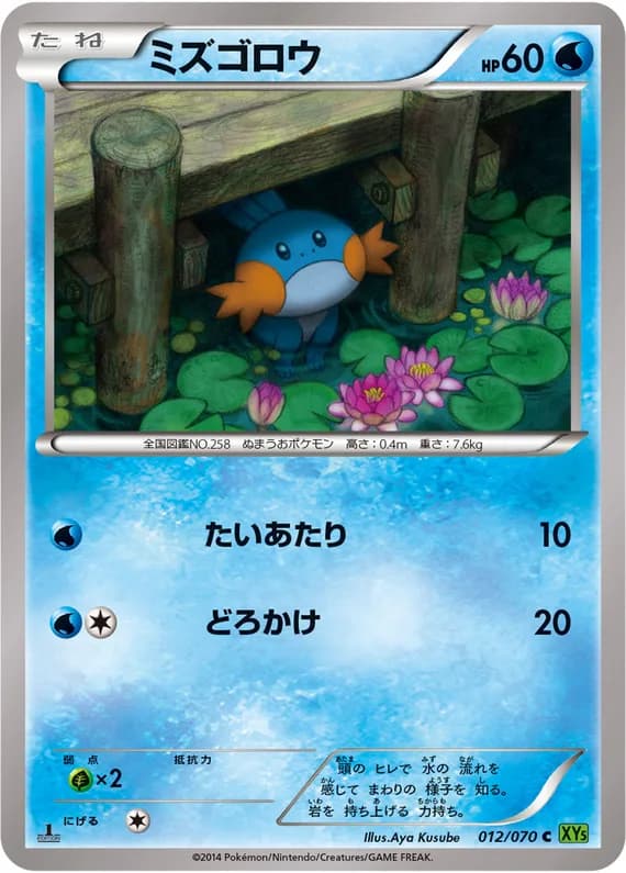 Tidal Storm 12 card front (Mudkip)