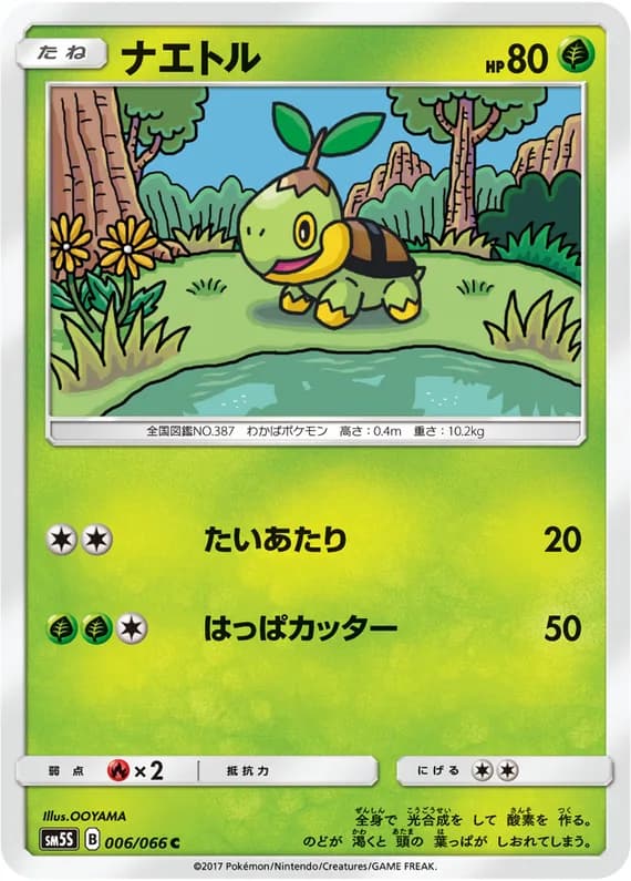 Ultra Sun 6 card front (Turtwig)