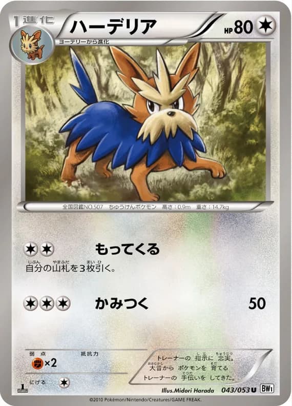 White Collection 43 card front (Herdier)