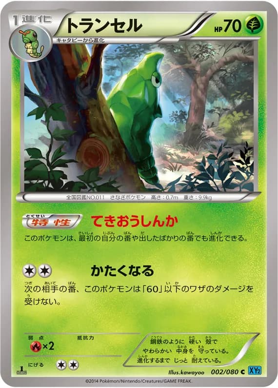Wild Blaze 2 card front (Metapod)