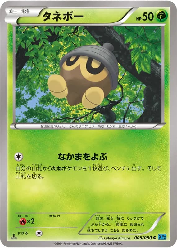 Wild Blaze 5 card front (Seedot)