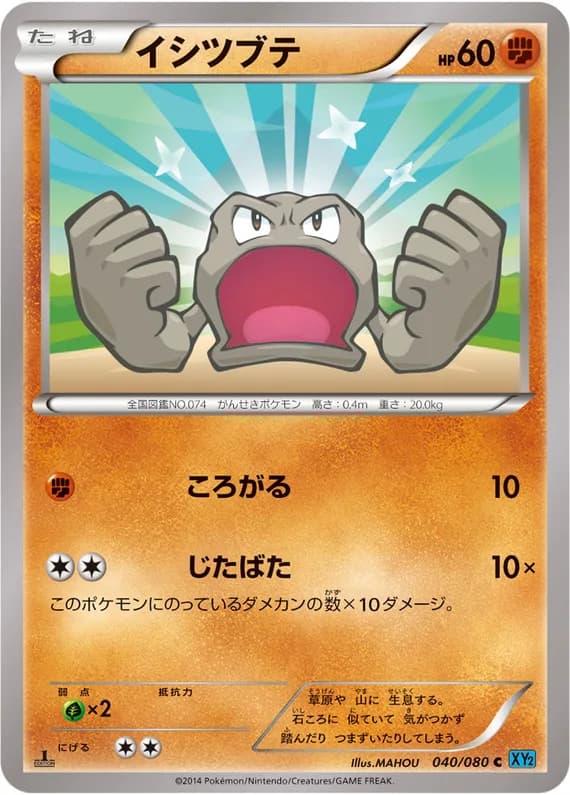 Wild Blaze 40 card front (Geodude)