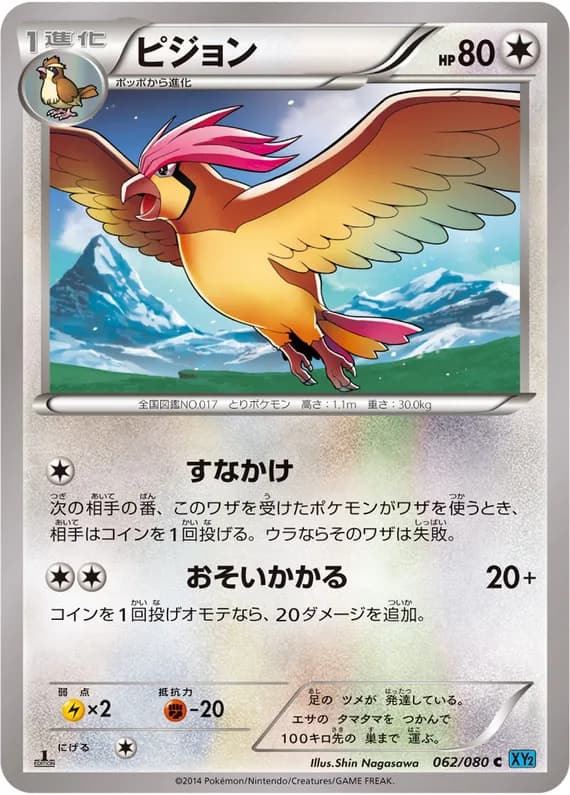 Wild Blaze 62 card front (Pidgeotto)