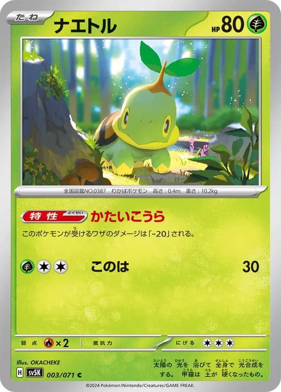 Wild Force 3 card front (Turtwig)