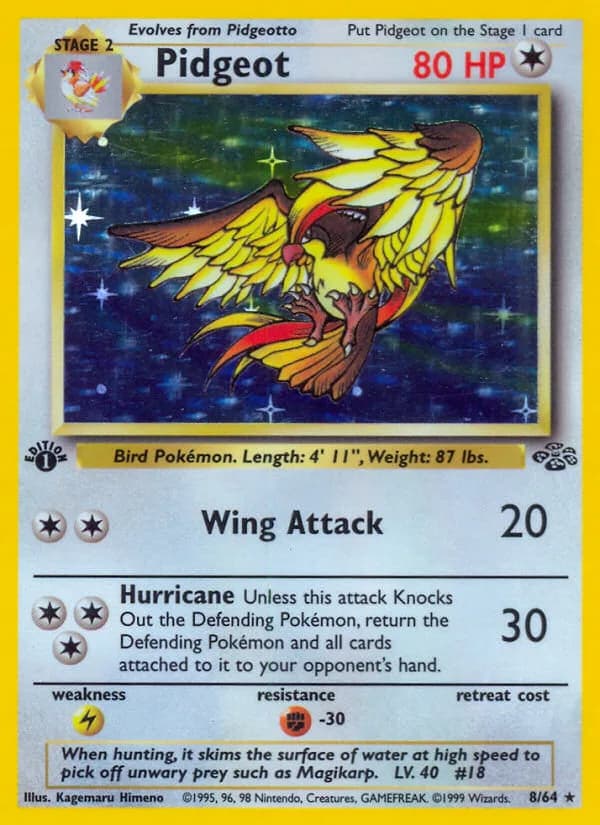 1st Edition Pidgeot card front, Jungle 8/64