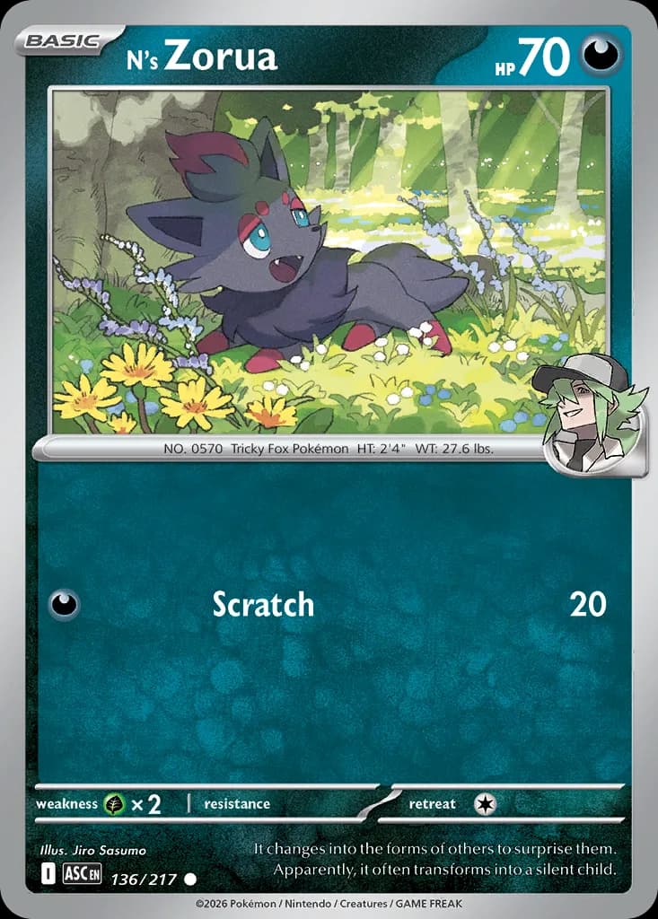 N's Zorua card front, Ascended Heroes 136/217