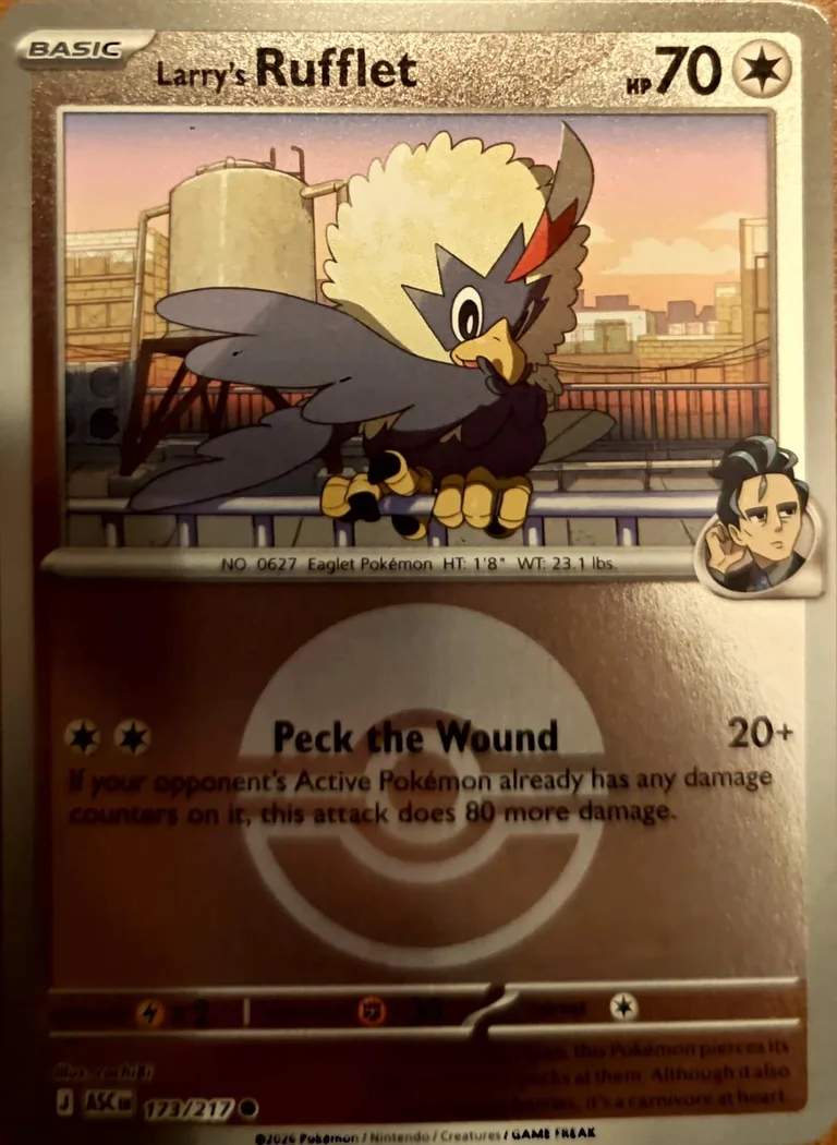 Larry's Rufflet reverse holo card front, Ascended Heroes 173/217