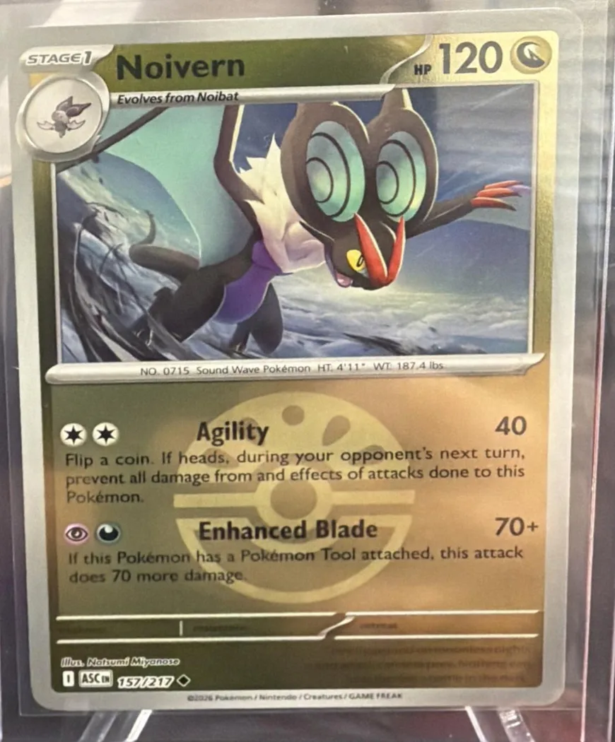 Noivern reverse holo card front, Ascended Heroes 157/217