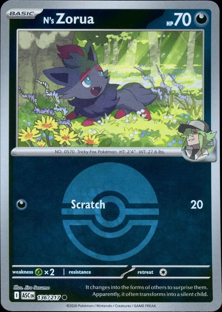 N's Zorua reverse holo card front, Ascended Heroes 136/217