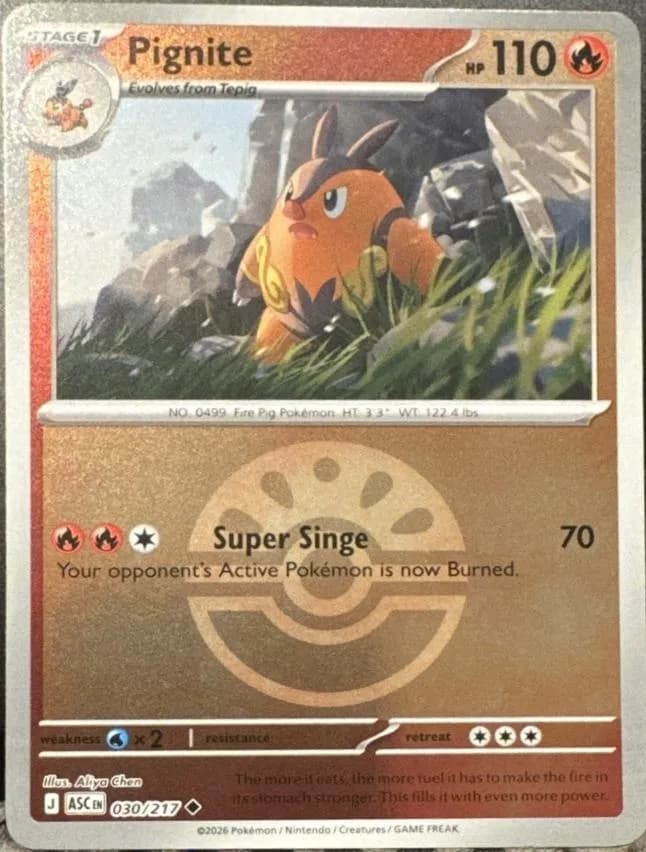 Pignite reverse holo card front, Ascended Heroes 30/217
