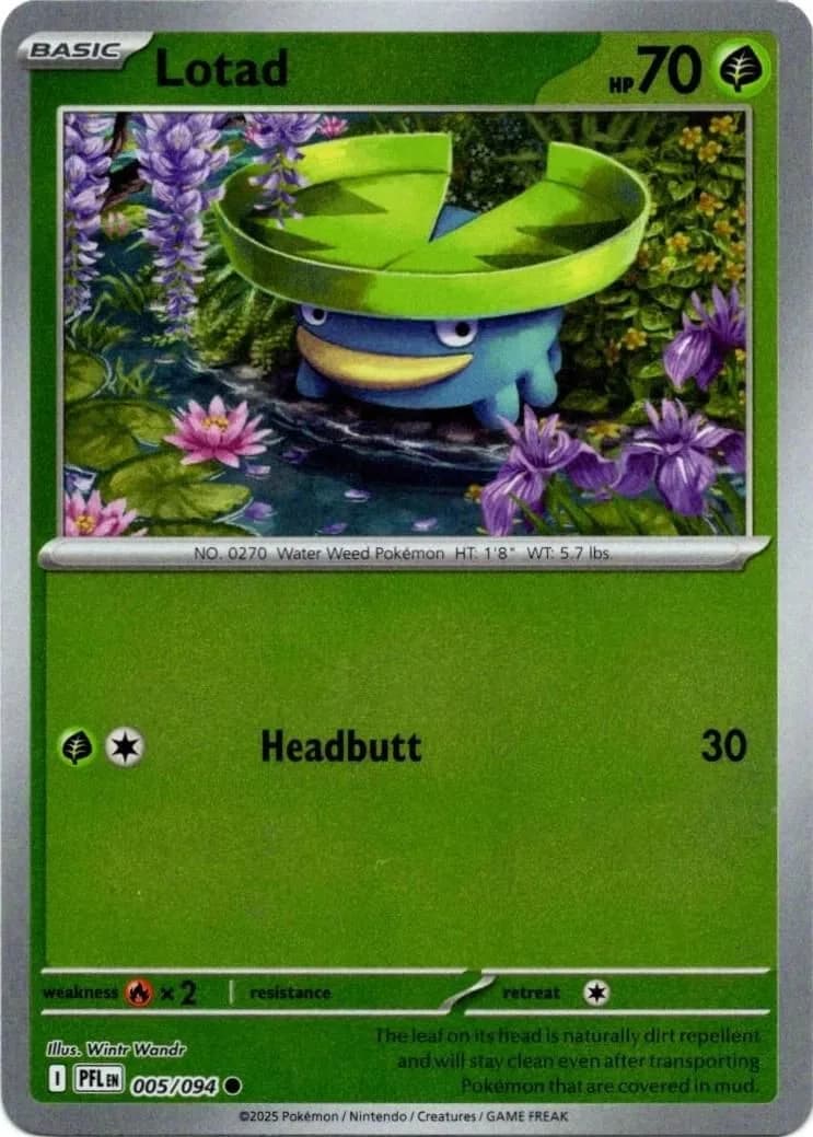 Lotad reverse holo card front, Phantasmal Flames 5/94