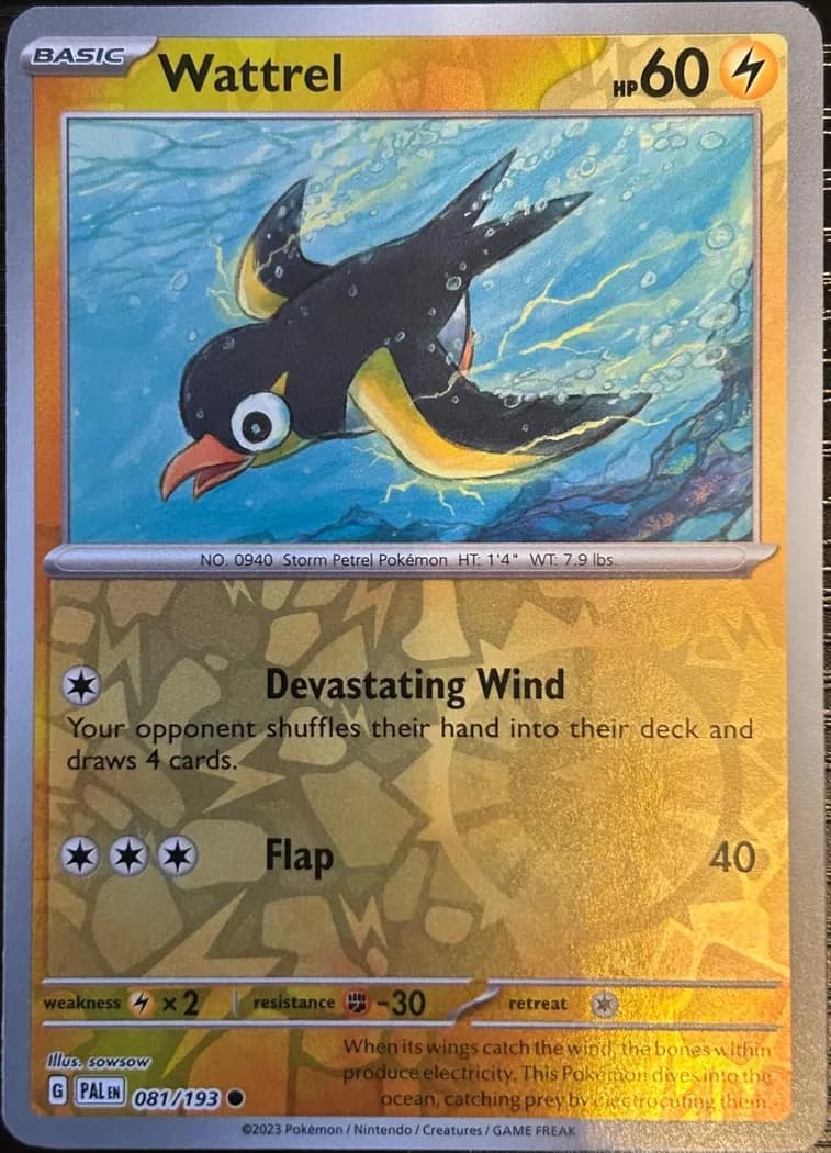 Wattrel reverse holo card front, Paldea Evolved 81/193