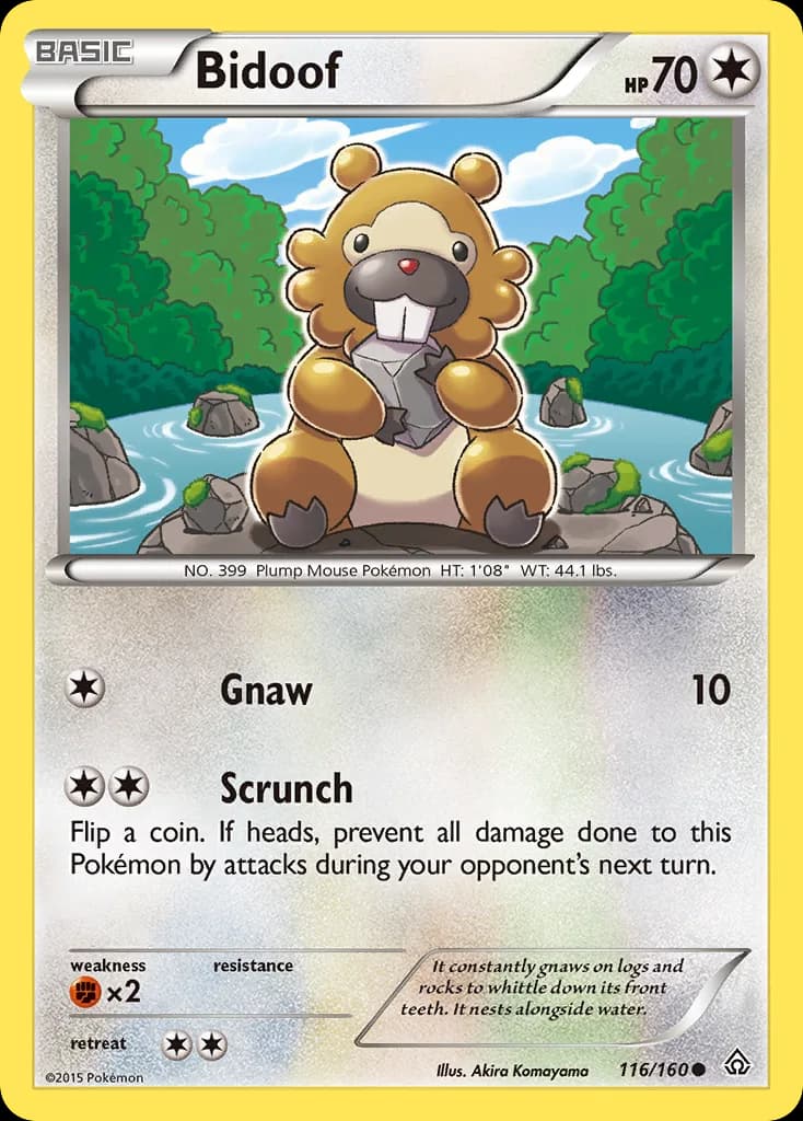 Bidoof card front, Primal Clash 116/160