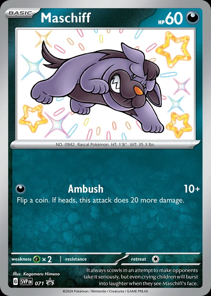 Maschiff, Scarlet & Violet Black Star Promos 071, English holo card front