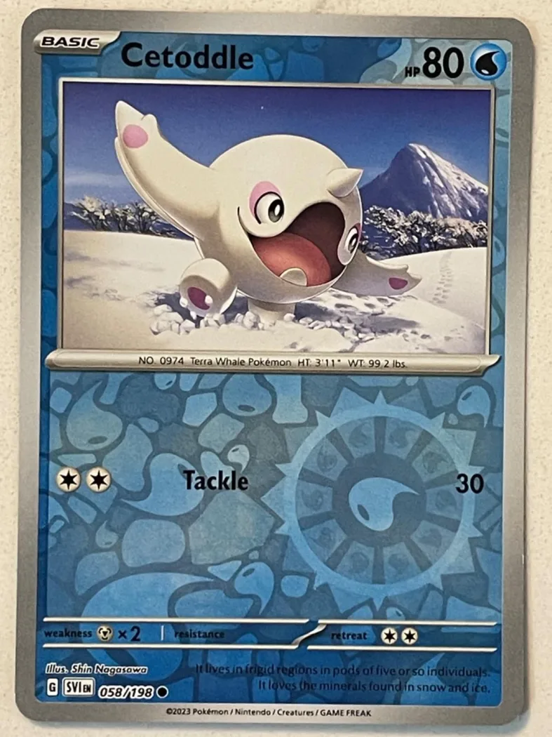 Cetoddle reverse holo card front, Scarlet & Violet 58/198