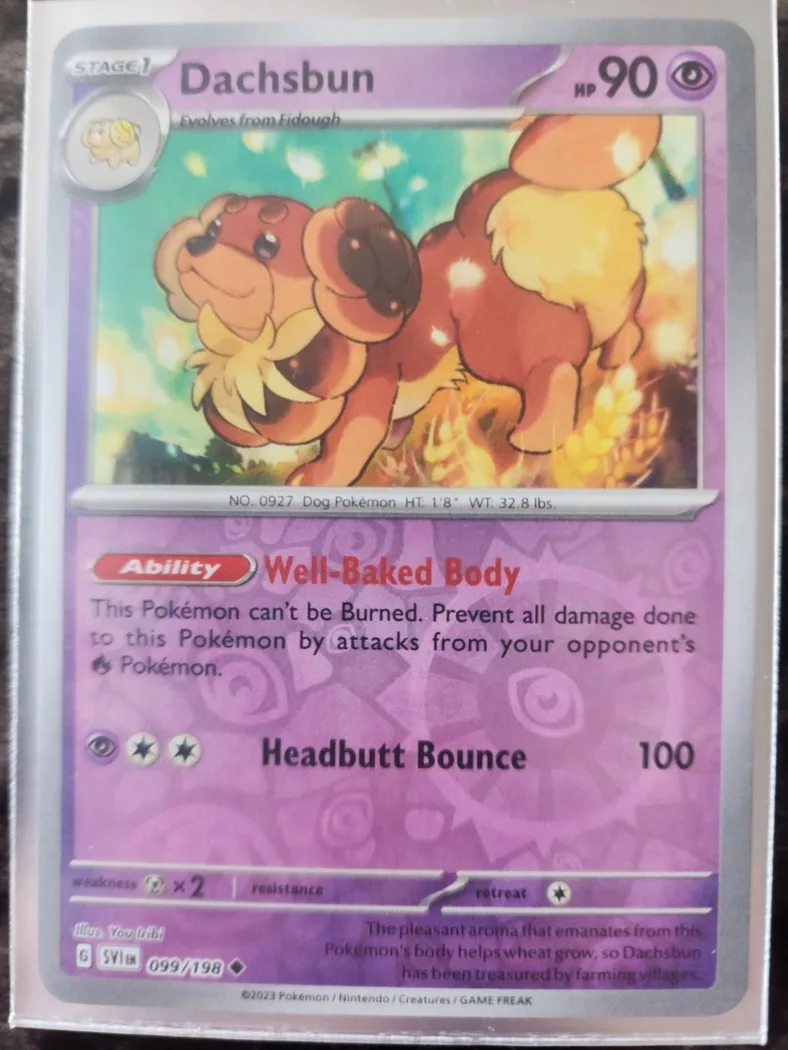 Dachsbun reverse holo card front, Scarlet & Violet 99/198
