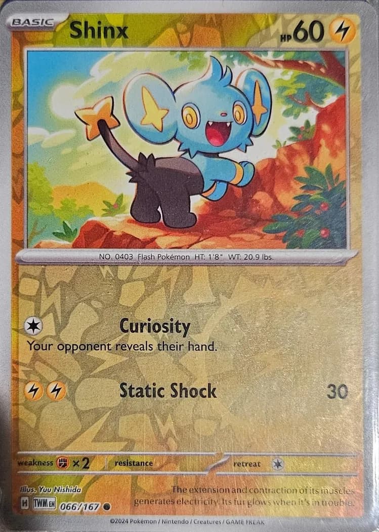 Shinx reverse holo card front, Twilight Masquerade 66/167