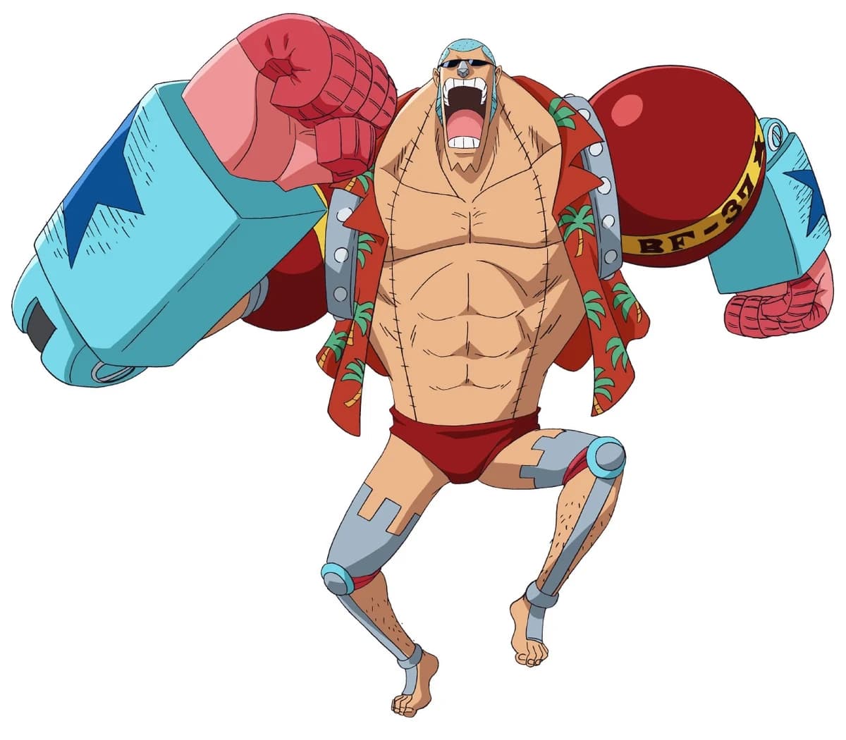 Franky official One Piece character artwork