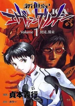 Neon Genesis Evangelion series cover artwork